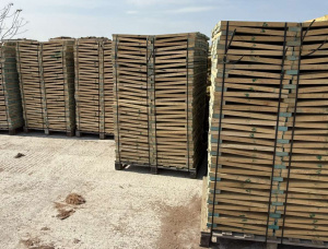 30 mm x 85 mm x 520 mm 建築材橡木