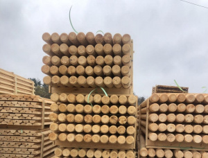 Spruce-pinus (S-P) Poles 100 mm x 6 m