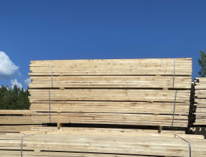 40 mm x 90 mm x 3000 mm AD R/S  Silver Birch Lumber