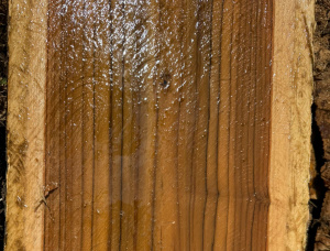 1 in. x 4 in. x 5 ft. CCA治疗建築材柚木