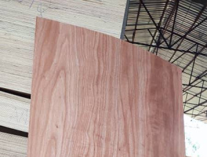 F/F Red Oak Special Plywood 2440 mm x 1220 mm x 2 mm