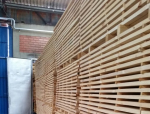 Box Paletten Eukalyptus 3960 mm x 150 mm x 50 mm