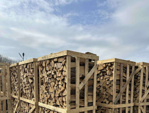 Kiln सूखे Firewood 150 mm x 250 mm
