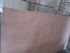 Contreplaque exterieur 1220 mm x  x 5 mm