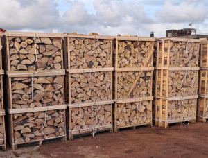 Kiln सूखे Firewood 150 mm x 250 mm