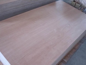 Contreplaque exterieur 1220 mm x  x 5 mm