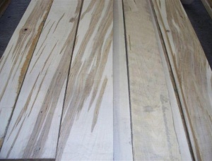 100 mm x 300 mm x 6 m 建築材枫