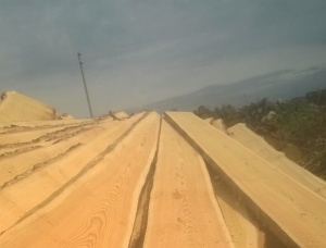 200 mm x 17 mm x    Sibirya karaçamı Joinery Board