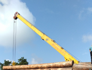 Pine Sawlog 500 mm x 6.1 m