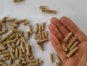 Holzpellets Eiche 6 mm x 4800 mm