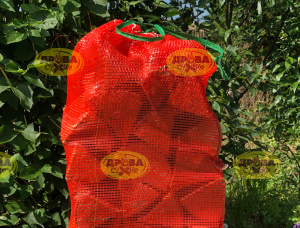 Madeira de Fogo Secada de Kiln 100 mm x 6000 mm