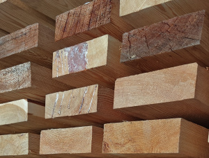 50 mm x 150 mm x 6010 mm 建築材落叶松