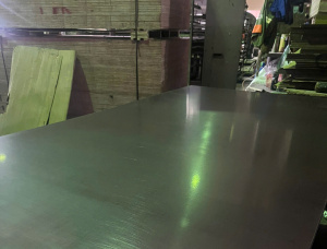 F/F Eucalyptus Film faced plywood 3000 mm x 1500 mm x 9 mm