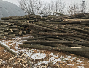 Kiln Dried Firewood 100 mm x 330 mm