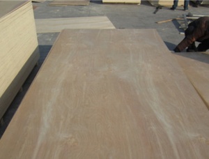 Contreplaque exterieur 1220 mm x  x 5 mm