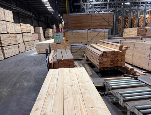 38 mm x 200 mm x 4000 mm KD R/S Heat Treated Taeda Pine Lumber
