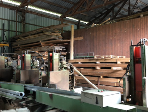 Gergaji frame vertikal