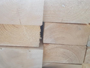 60 mm x 200 mm x 13000 mm 毛邊板松木