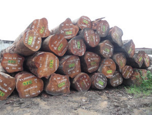 25; 32; 38; 50 mm x 150+ mm x 1800+ mm Eingefasstes Brett Okan (African Greenheart NHLA FAS