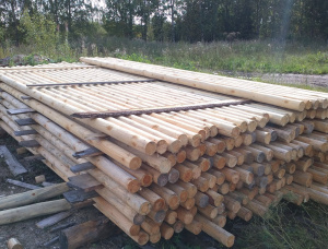 Sarıçam Polonyalılar 100 mm x 6 m