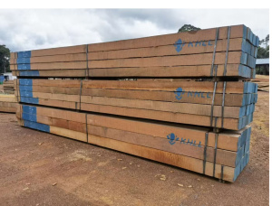 145 mm x 145 mm x 5950 mm GR Azobé (Bongossi, Ekki) Lumber G2-0