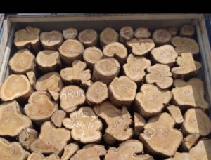 Teak Sawlog 160-445 mm x 2.3 m