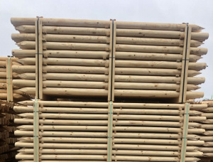Spruce-pinus (S-P) Poles 100 mm x 6 m