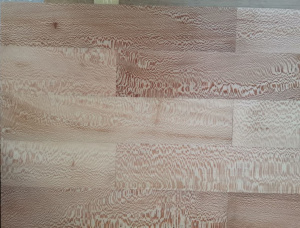 Sycamore Parquet KD 15 mm x 50 mm x 300 mm