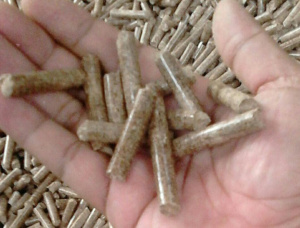 Pellets de madera 6 mm x 10 mm