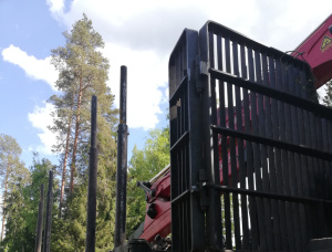 Medium forwarders