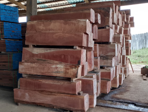 Грубоокантованный брус Доусси (Афзелия, Лингуе, Апа, Чанфута) 160 мм x 180 мм x 3000 м