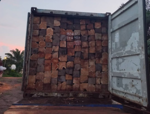 सागौन चौकोर लट्ठे 100; 125; 150 mm x 100; 125; 150 mm x 2300 m