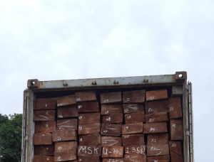 Padouk (Camwood, Barwood, Mbel, Corail) Square Logs 160 mm x 180 mm x 3000 m