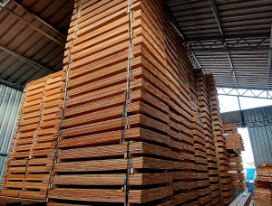 15 mm x 153 mm x 2400 mm  European Larch Lumber
