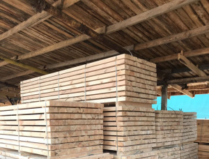 29 mm x 100 mm x 3000 mm ACQ Treated Pine Lumber