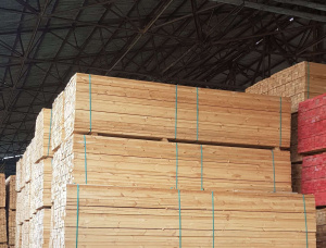 45 mm x 95 mm x 3985 mm Heat Treated Spruce Lumber