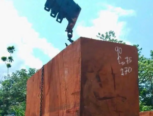 Грубоокантованный брус Доусси (Афзелия, Лингуе, Апа, Чанфута) 700 мм x 800 мм x 2.2 м