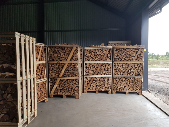 Kurutulmuş yakacak odun Kayın 80 mm x 330 mm Fırında kurutulmuş