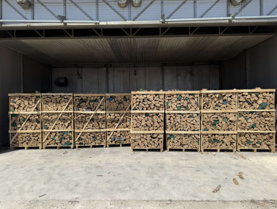Kiln सूखे Firewood 150 mm x 250 mm