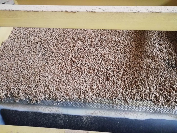 साइबेरियाई पाइन लकड़ी के पेलेट 6 mm x