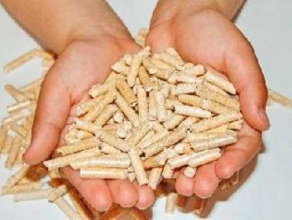 Holzpellets Eiche 6 mm x 4800 mm