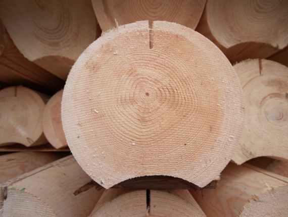 Pinus Skotlandia Rounded beam 280 mm x 6 m