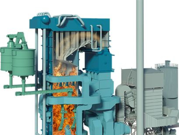 Biomass Heat and Power Plants