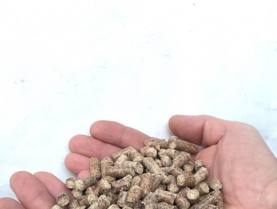 Holzpellets Waldkiefer 8 mm x 20 mm
