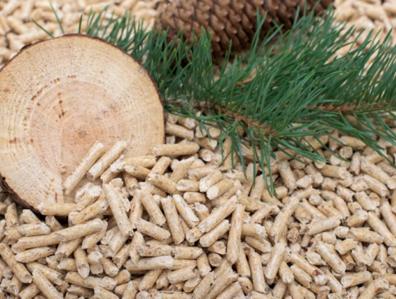 Oak Wood pellets 6 mm x 50 mm