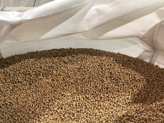Holzpellets  Gemeine Fichte 80 mm x 150 mm