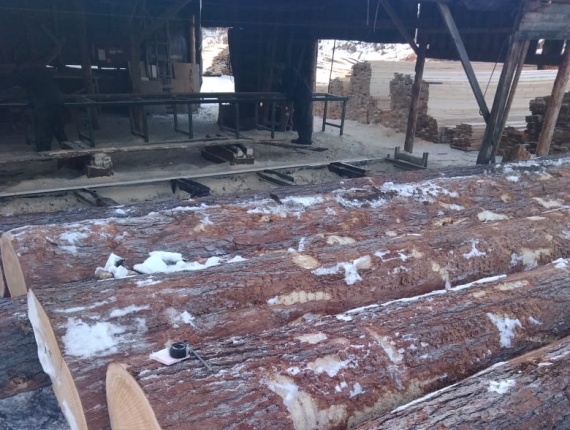 Batı kırmızı sediri Kerestelik tomruk 0 mm x 6 m