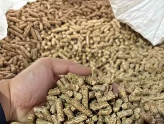 Beech Wood pellets 6 mm x 20 mm
