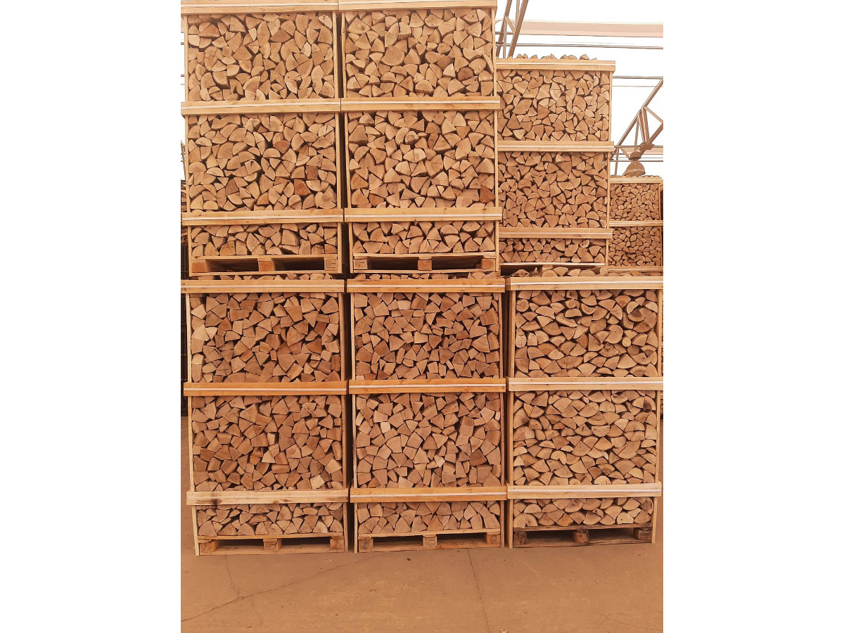 Brennholz Esche 12 mm x 25 mm