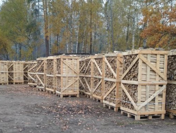Unseasoned Firewood 100 mm x 500 mm
